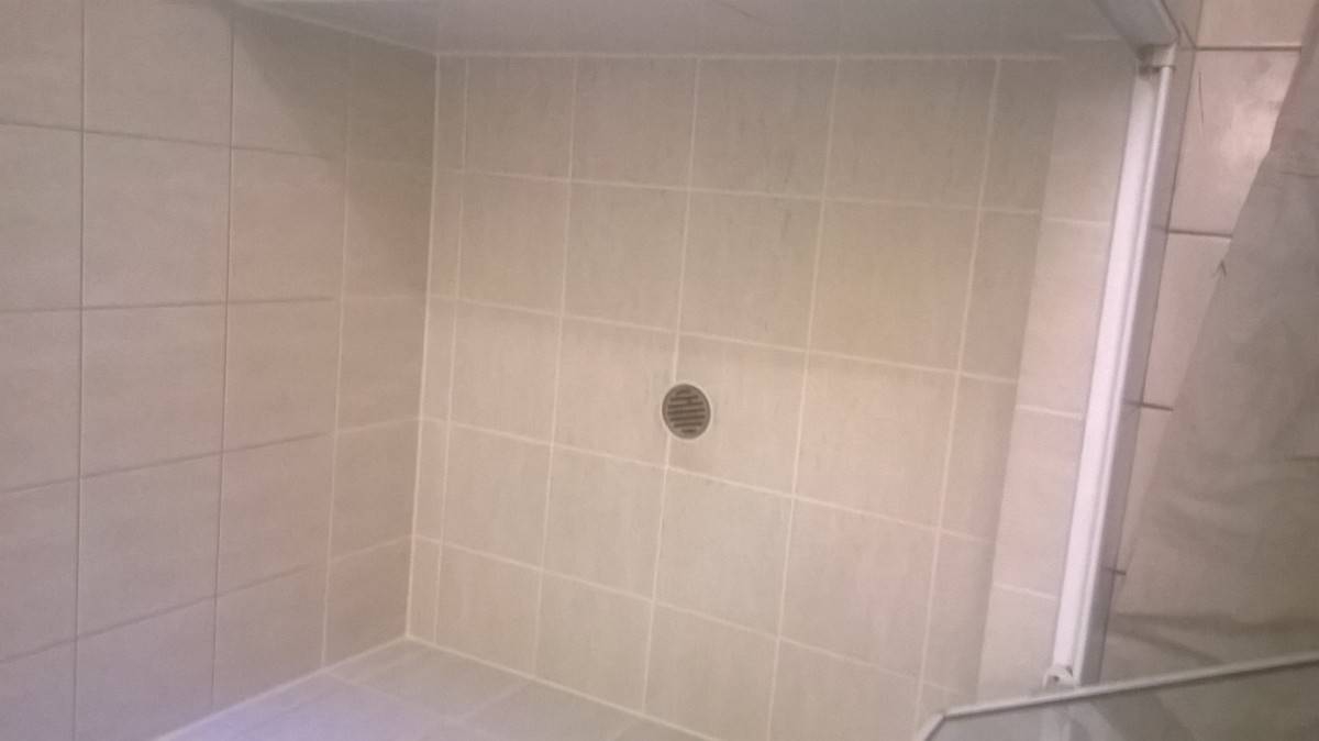 after epoxy grout in shower